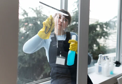 Nettoyage de vitres intérieures et extérieures à Isneauville